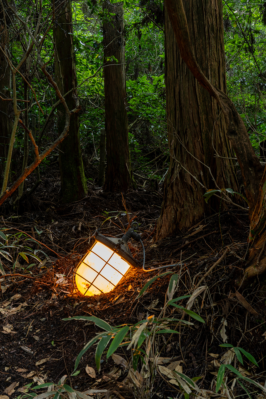 Light of a lonely island – 孤島の光（仮設のモニュメント7）2025